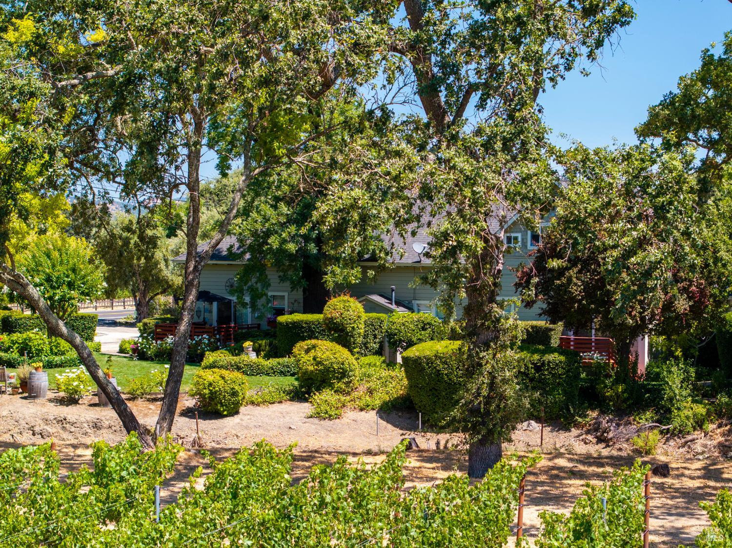 1225 Oakville Grade Road Oakville, CA 94558 - Photo 74 of 76 a view of backyard with swimming pool and seating space