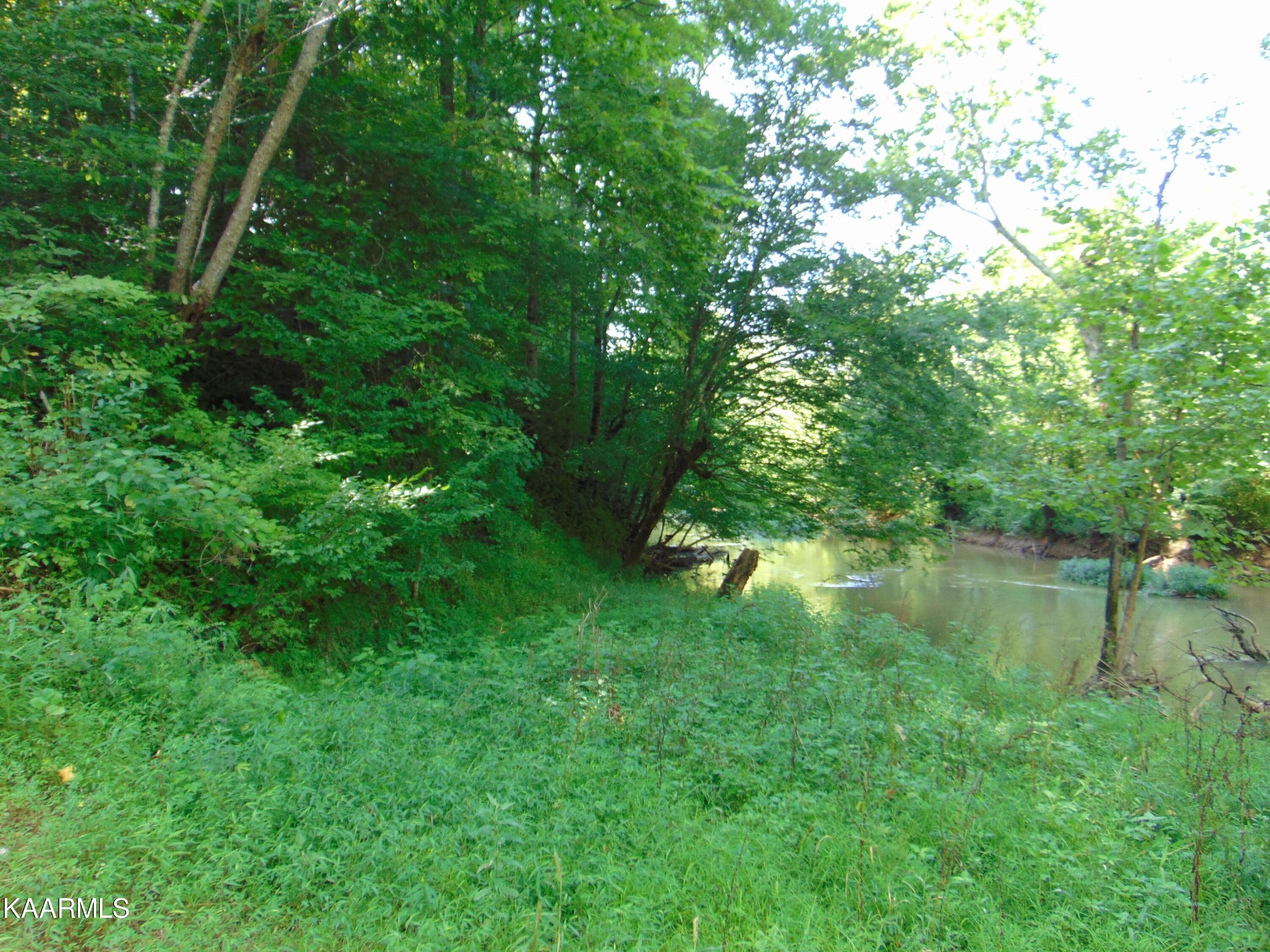 41 Athens Road Delano, TN 37325 - Photo 24 of 34