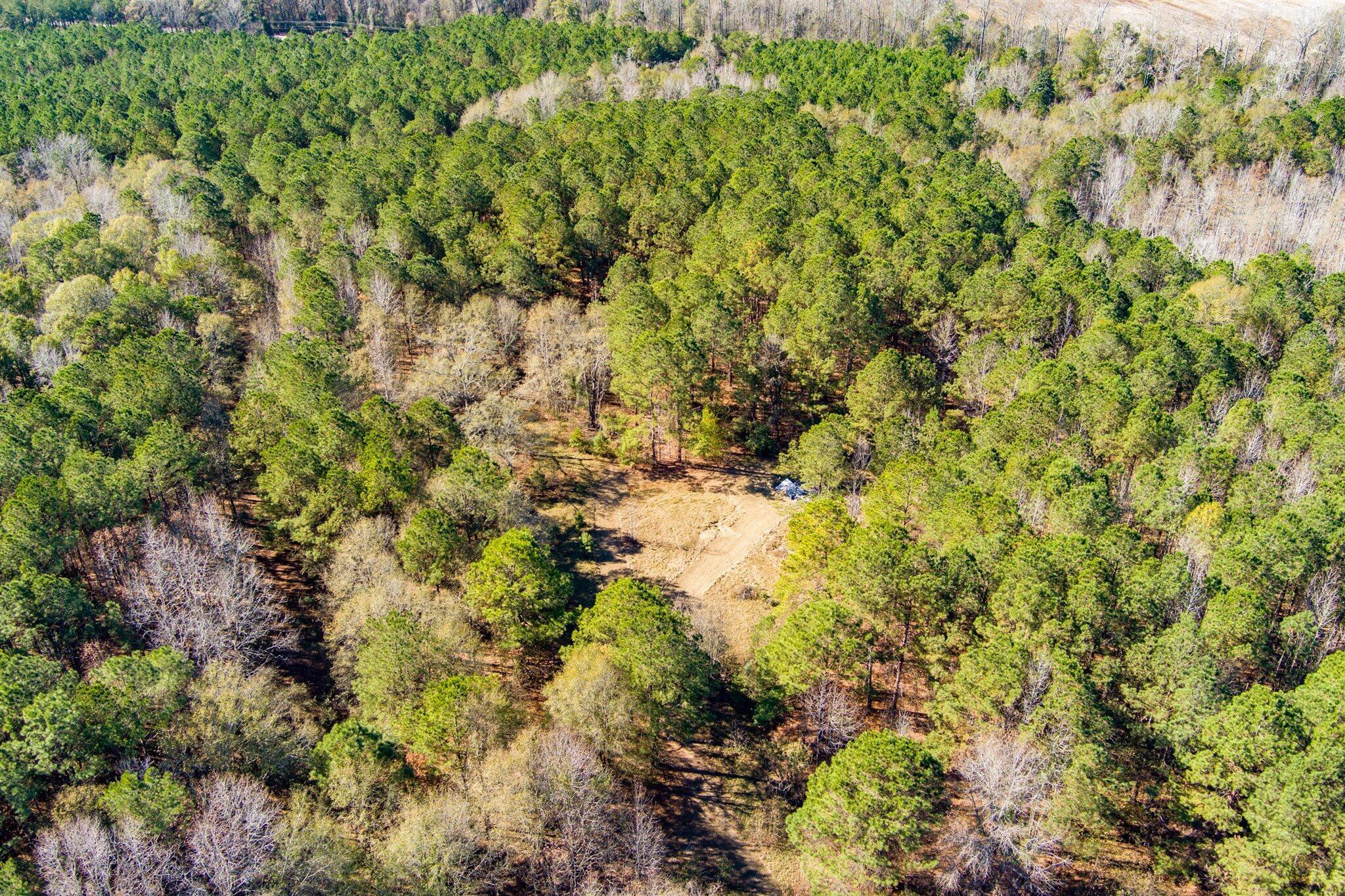 170 Mill Branch Road Orangeburg, SC 29118 - Photo 44 of 62 44-170 Mill Branch_d_Lowcountry_Exposure