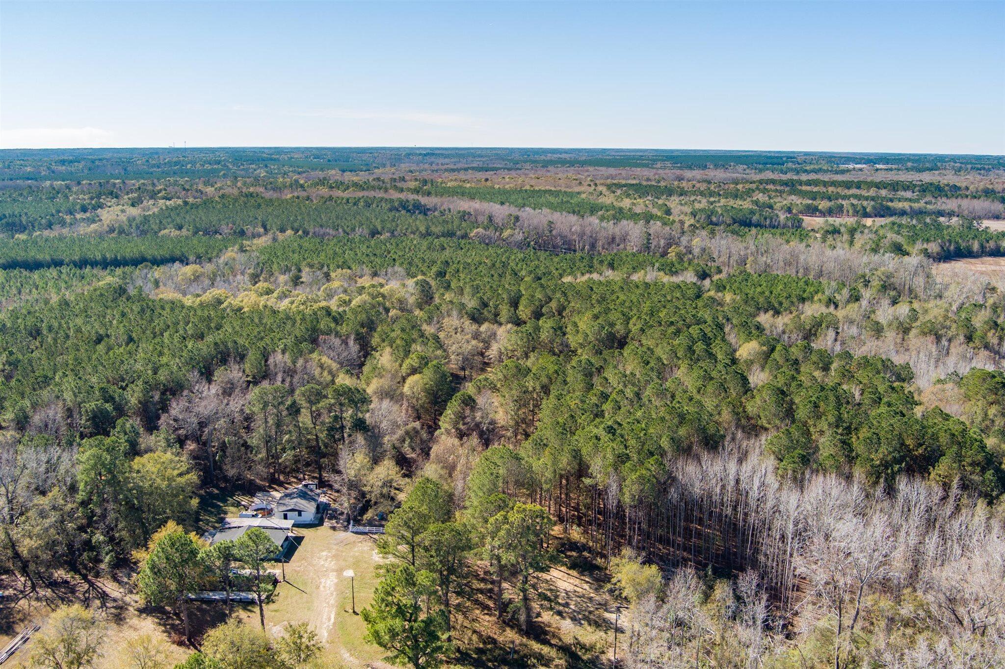 170 Mill Branch Road Orangeburg, SC 29118 - Photo 48 of 62 48-170 Mill Branch_d_Lowcountry_Exposure