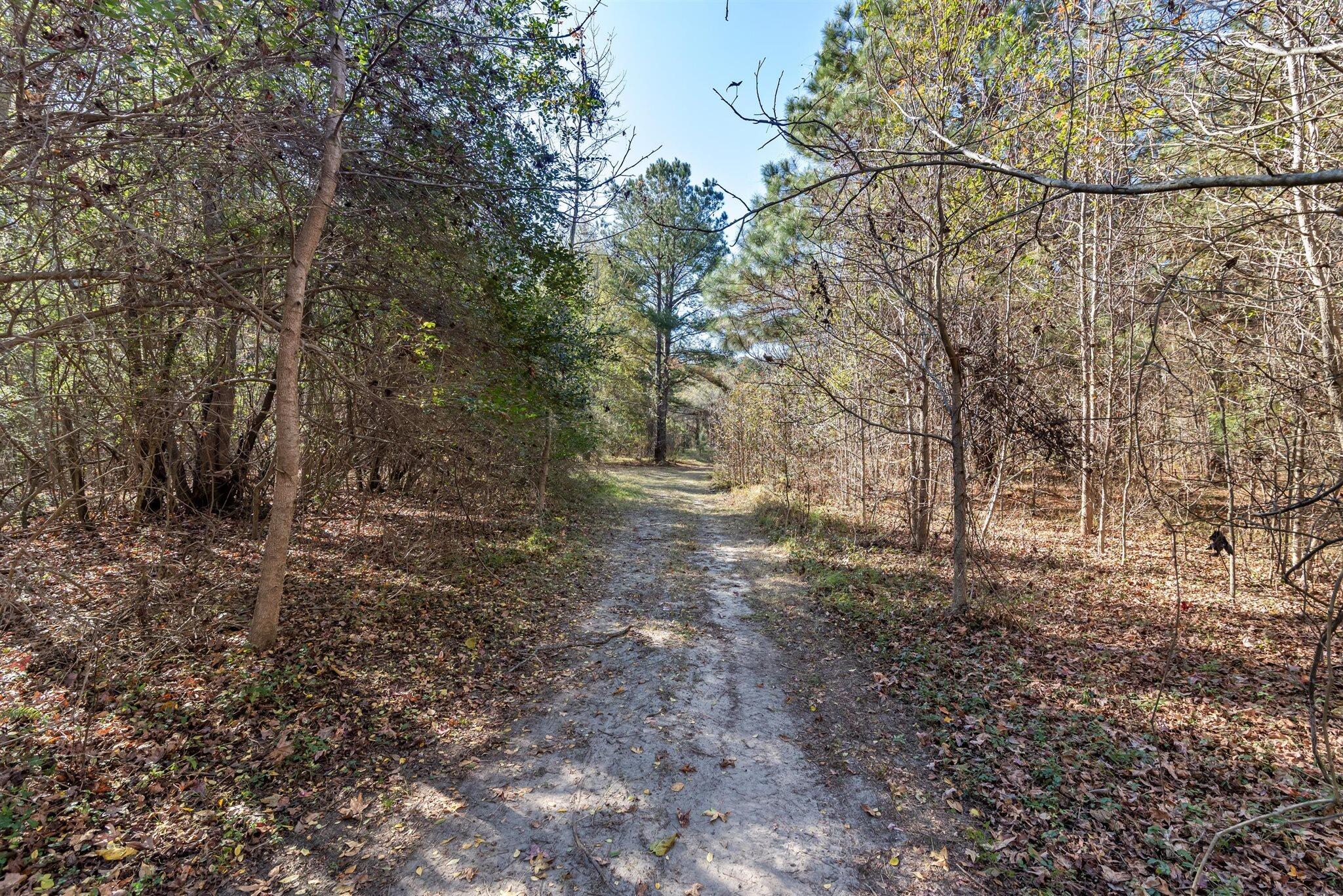 170 Mill Branch Road Orangeburg, SC 29118 - Photo 52 of 62 52-170 Mill Branch_e_Lowcountry_Exposure