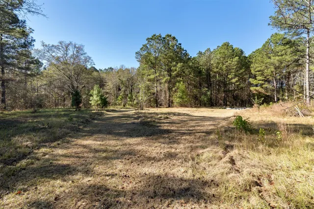 $300,000 | 170 Mill Branch Road, Orangeburg, SC 29118