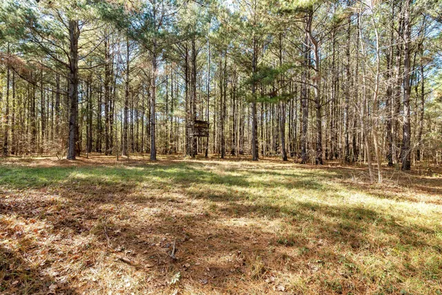 $300,000 | 170 Mill Branch Road, Orangeburg, SC 29118