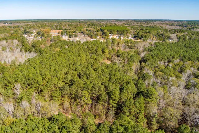 $300,000 | 170 Mill Branch Road, Orangeburg, SC 29118