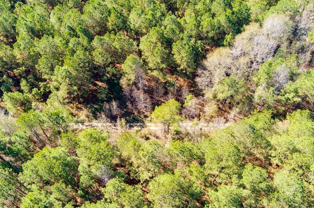 $300,000 | 170 Mill Branch Road, Orangeburg, SC 29118