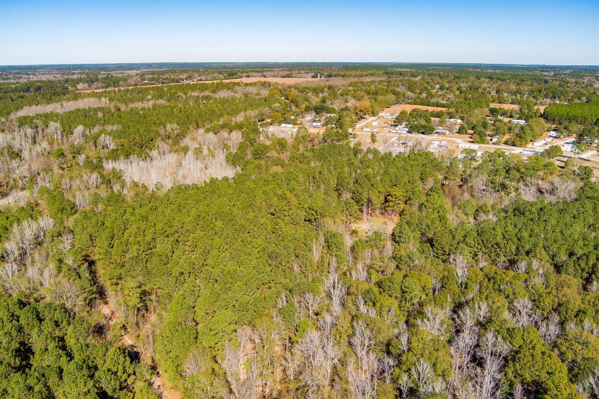 170 Mill Branch Road Orangeburg, SC 29118 - Photo 60 of 62 60-170 Mill Branch_d_Lowcountry_Exposure