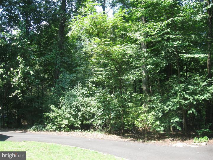 683 Limekiln Road Doylestown, PA 18901 - Photo 14 of 17 Side Yard