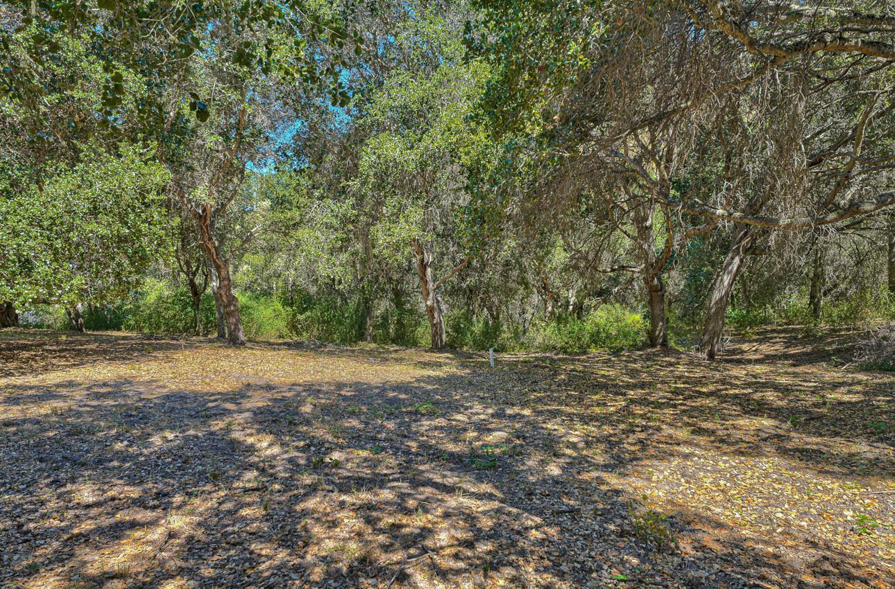 27765 Mesa Del Toro Road Salinas, CA 93908 - Photo 1 of 12 a view of a yard with a tree