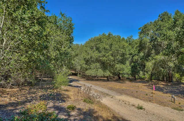 a view of outdoor space with trees
