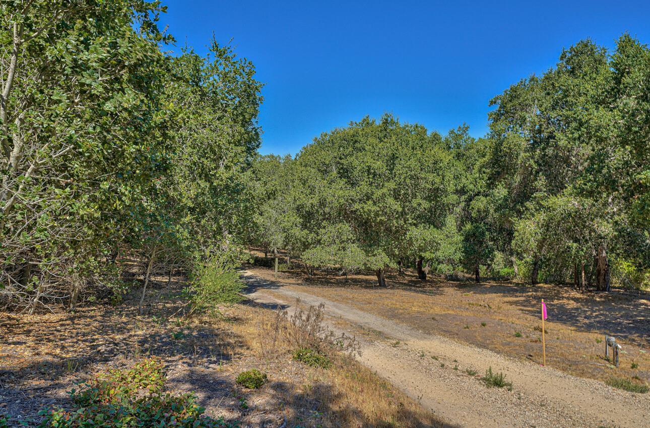 27765 Mesa Del Toro Road Salinas, CA 93908 - Photo 11 of 12 a view of a yard with a tree