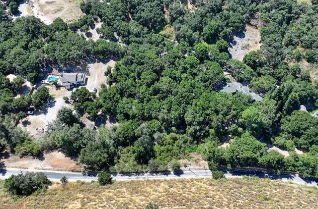 a view of a yard with plants