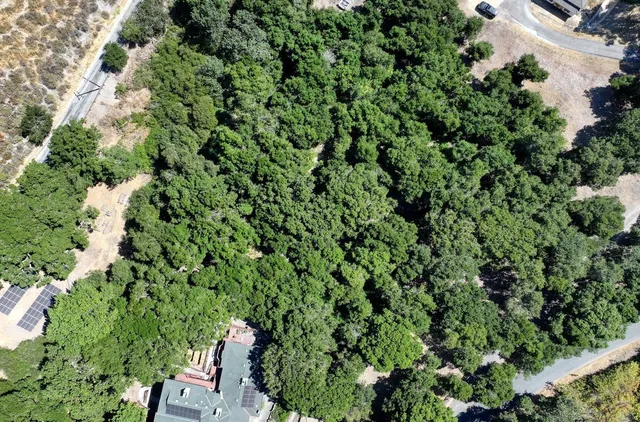 a view of backyard with wooden fence