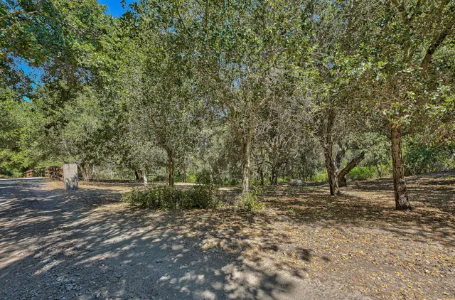 a view of a yard with a tree