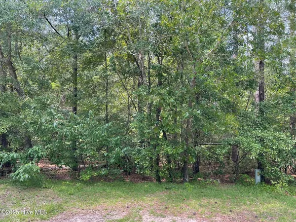 $49,900 | 8 Country Lane, Ellerbe, NC 28338