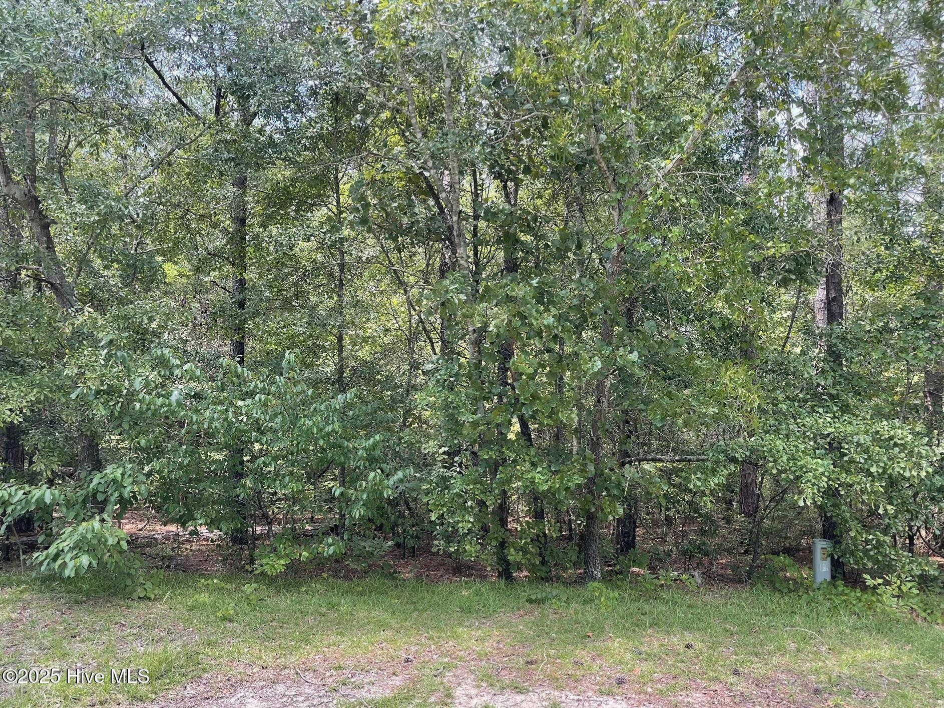 8 Country Lane Ellerbe, NC 28338 - Photo 11 of 12 Image 5