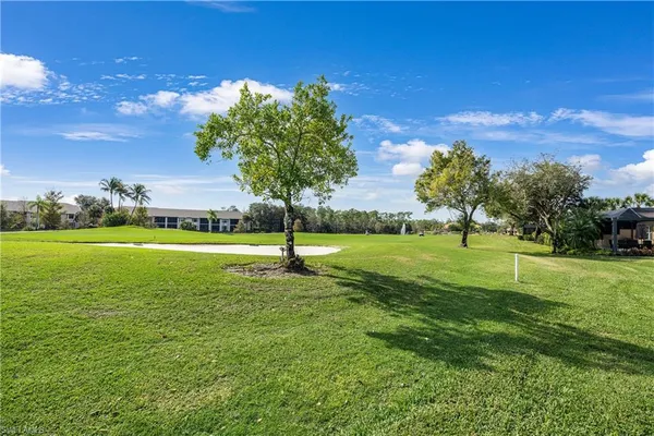 a view of a field with a tree in the background
