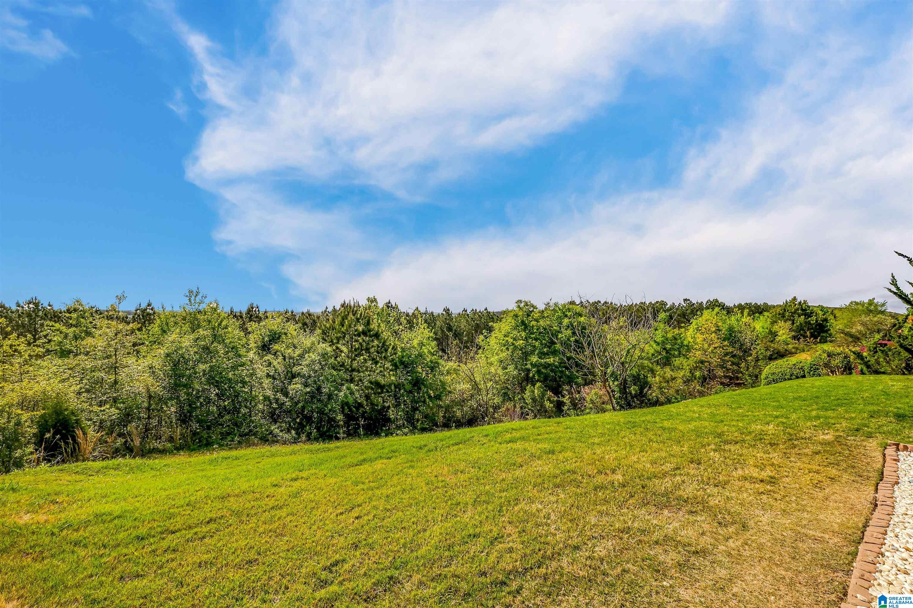 3100 Chelsea Park Ridge Chelsea, AL 35043 - Photo 9 of 9