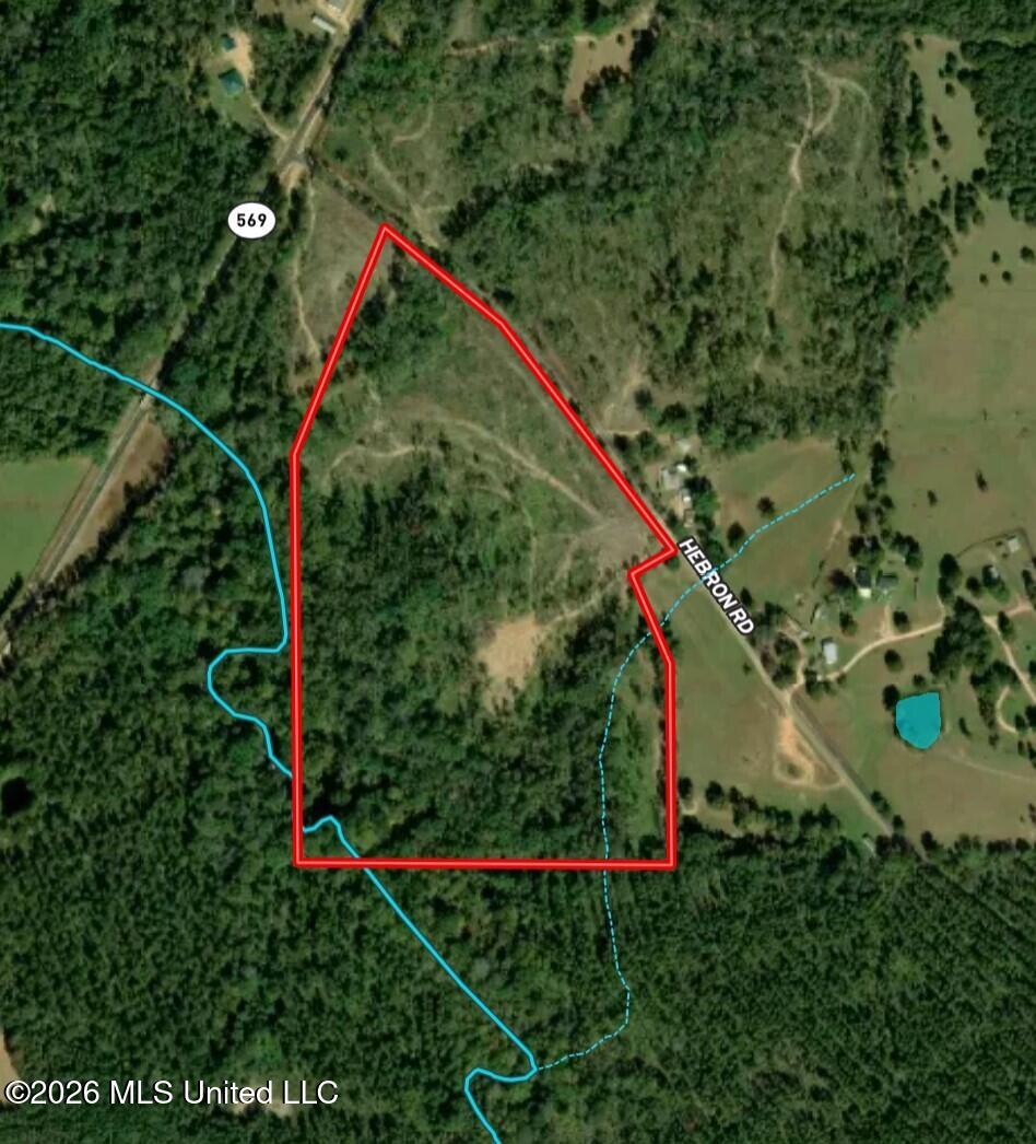 5734 Hebron Road Liberty, MS 39645 - Photo 28 of 32 Amite 42.75 Map