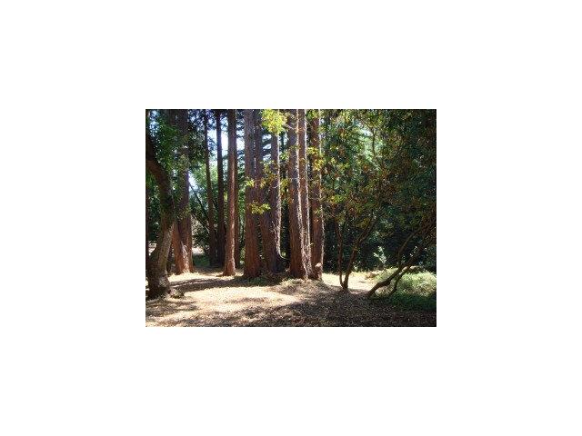 2600 Soquel San Jose Road Soquel, CA 95073 - Photo 9 of 9 Gallery Image 9