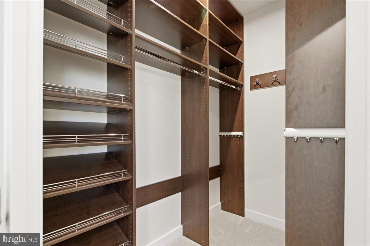 18060 Red Cedar Road Dumfries, VA 22026 - Photo 18 of 39 a view of walk in closet with empty racks