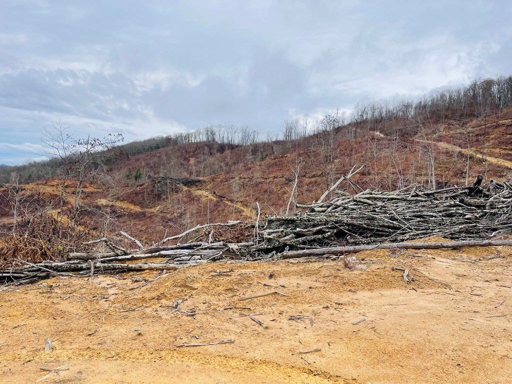 Tbd Gravel Lick Road Cleveland, VA 24225 - Photo 20 of 32 Gallery Image 20