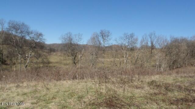58.08-ac Spring Fork Road Granville, TN 38564 - Photo 16 of 59 100_0021
