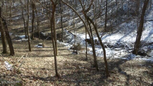 58.08-ac Spring Fork Road Granville, TN 38564 - Photo 35 of 59 100_0056