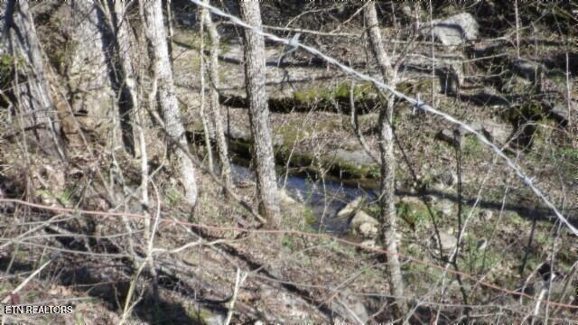 58.08-ac Spring Fork Road Granville, TN 38564 - Photo 4 of 59 stream 2
