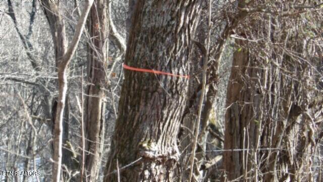 58.08-ac Spring Fork Road Granville, TN 38564 - Photo 46 of 59 100_0077