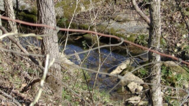 58.08-ac Spring Fork Road Granville, TN 38564 - Photo 5 of 59 stream best