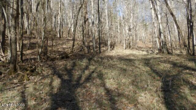58.08-ac Spring Fork Road Granville, TN 38564 - Photo 55 of 59 100_0093