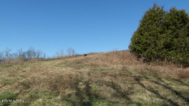 58.08-ac Spring Fork Road Granville, TN 38564 - Photo 9 of 59 100_0005