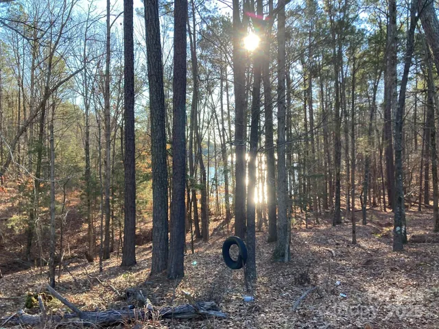 a view of outdoor space with lots of trees