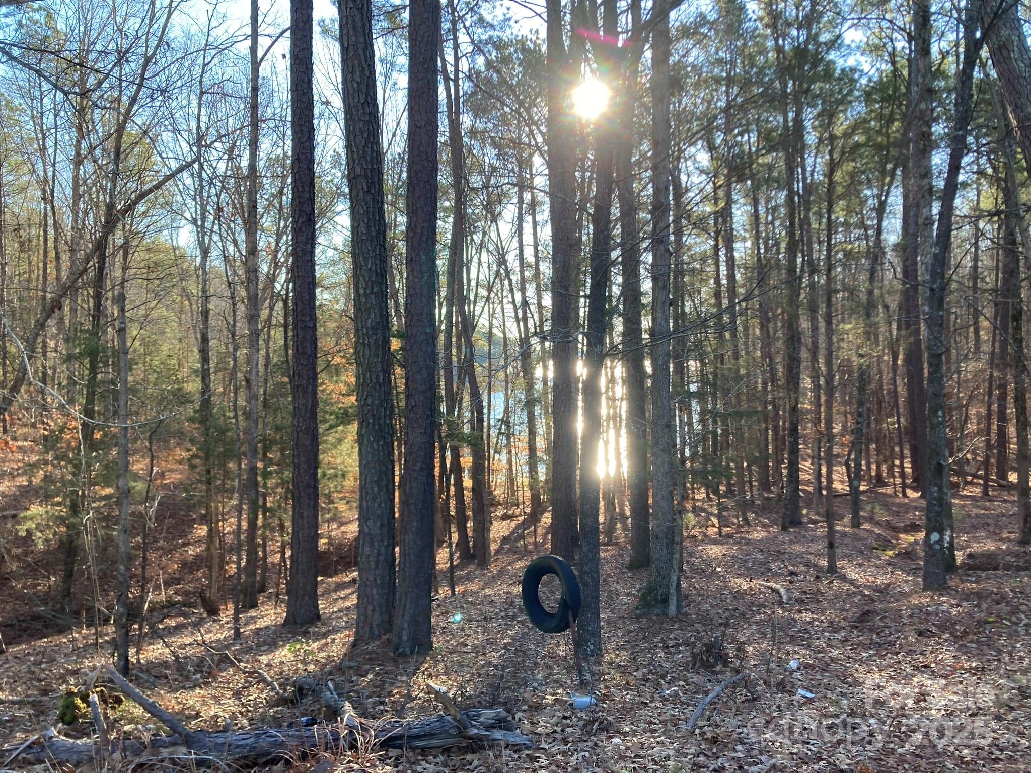3539 Pearson Road Blair, SC 29015 - Photo 3 of 4 a view of outdoor space with lots of trees