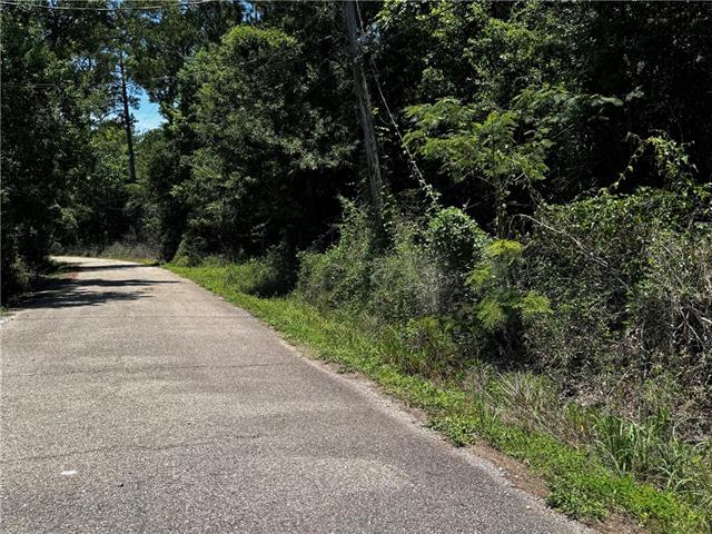 0 Dumas Road Slidell, LA 70460 - Photo 1 of 4
