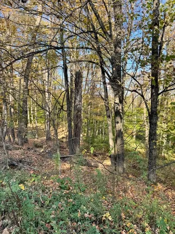 $385,000 | 476 Rosa Circle, Delhi, NY 13753