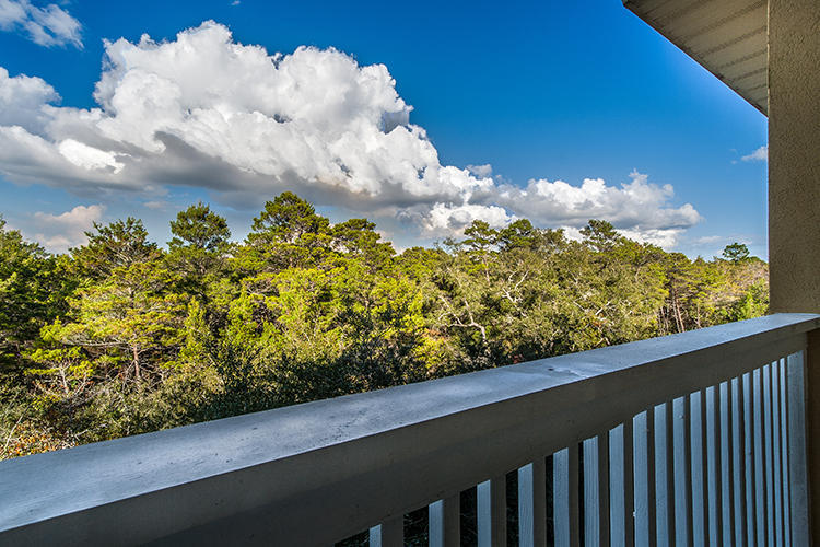 34 Heron's Watch Way, Unit 1304 Santa Rosa Beach, FL 32459 - Photo 2 of 15 a view of a bunch of flowers in a balcony