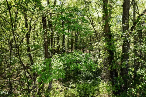 $160,000 | 0 South South Nc 87 Highway, Graham, NC 27253