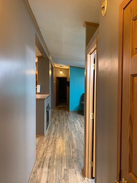 996 North Eighty Eight Road Rices Landing, PA 15357 - Photo 12 of 25 Gallery Image 12