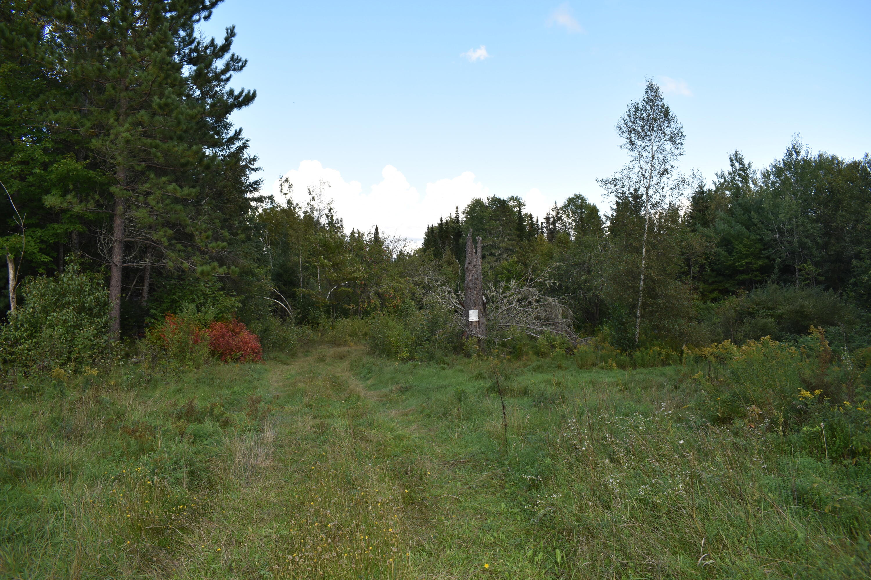 233 Old Winn Road Springfield, ME 04487 - Photo 25 of 31 DSC_0031