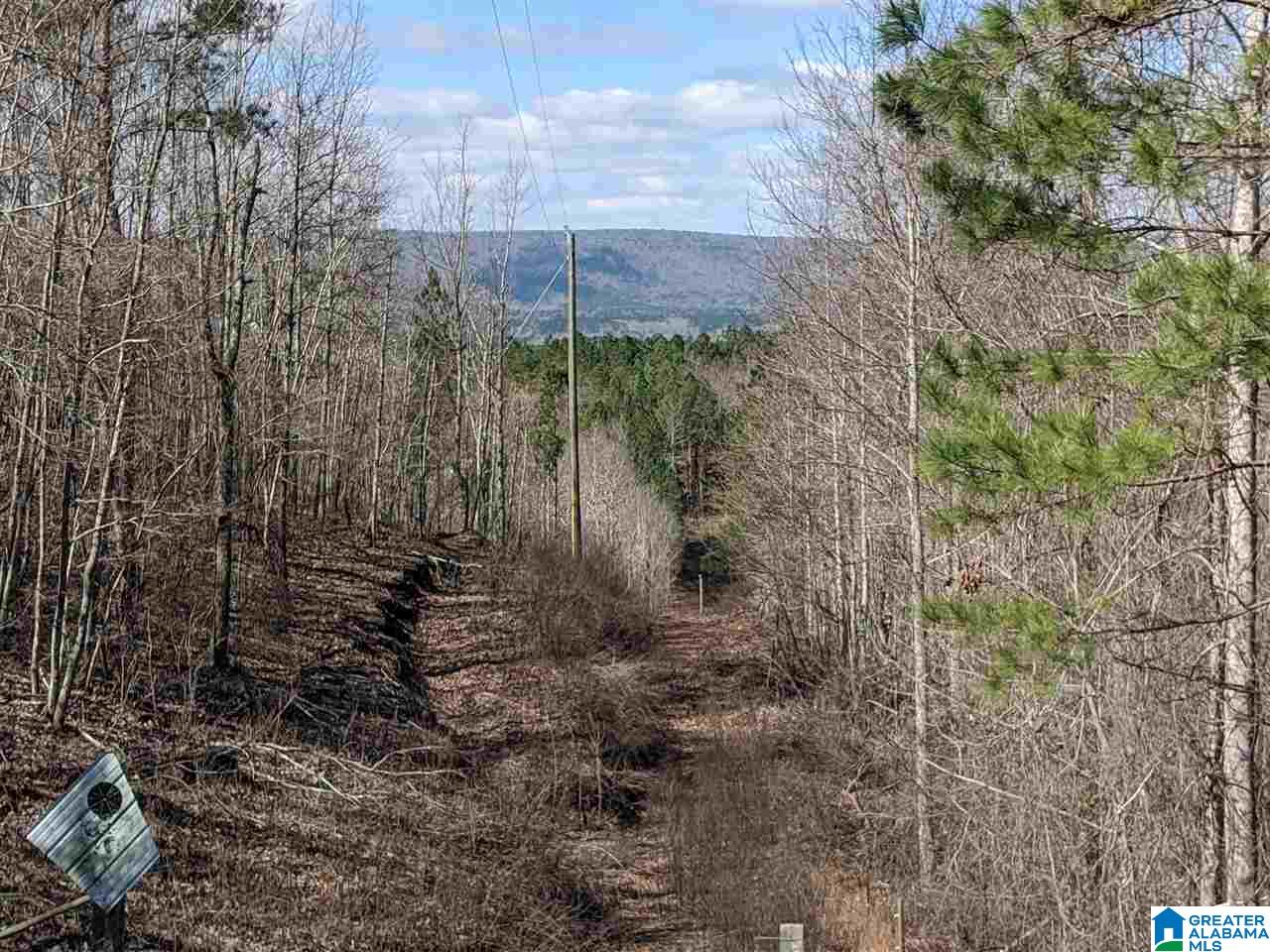 1731 Bolton Road Talladega, AL 35160 - Photo 17 of 46