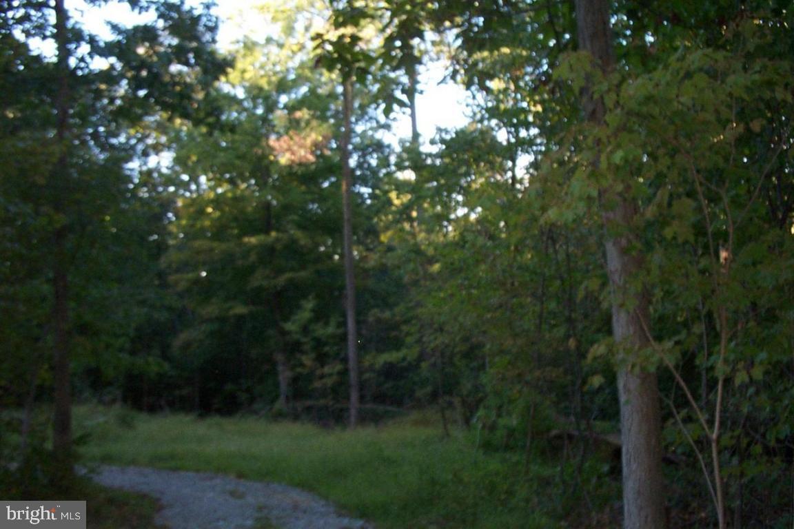 934 Milton Grove Road South Elizabethtown, PA 17022 - Photo 3 of 3