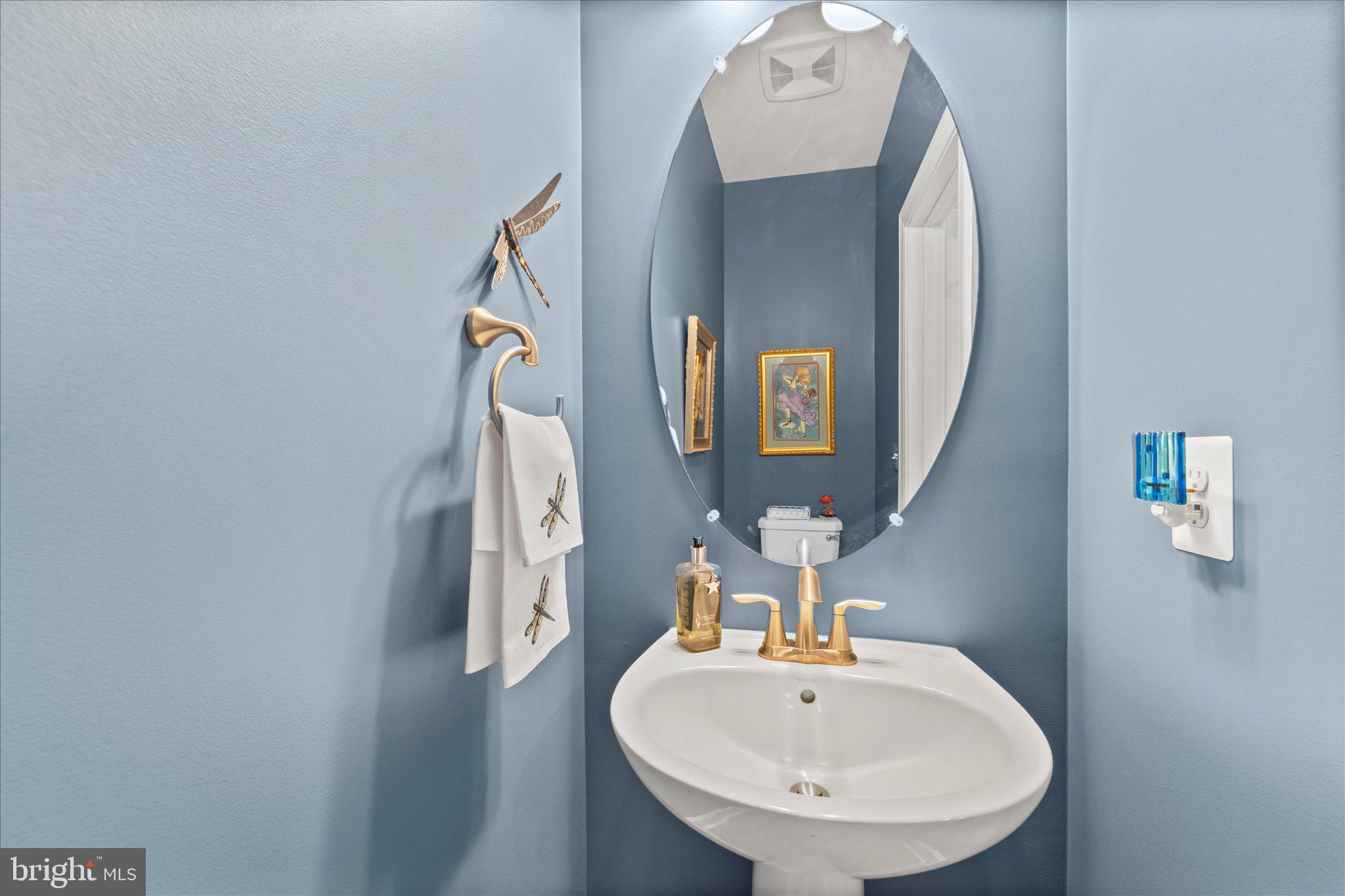 45206 Lettermore Square Sterling, VA 20166 - Photo 19 of 42 a bathroom with a sink and a mirror