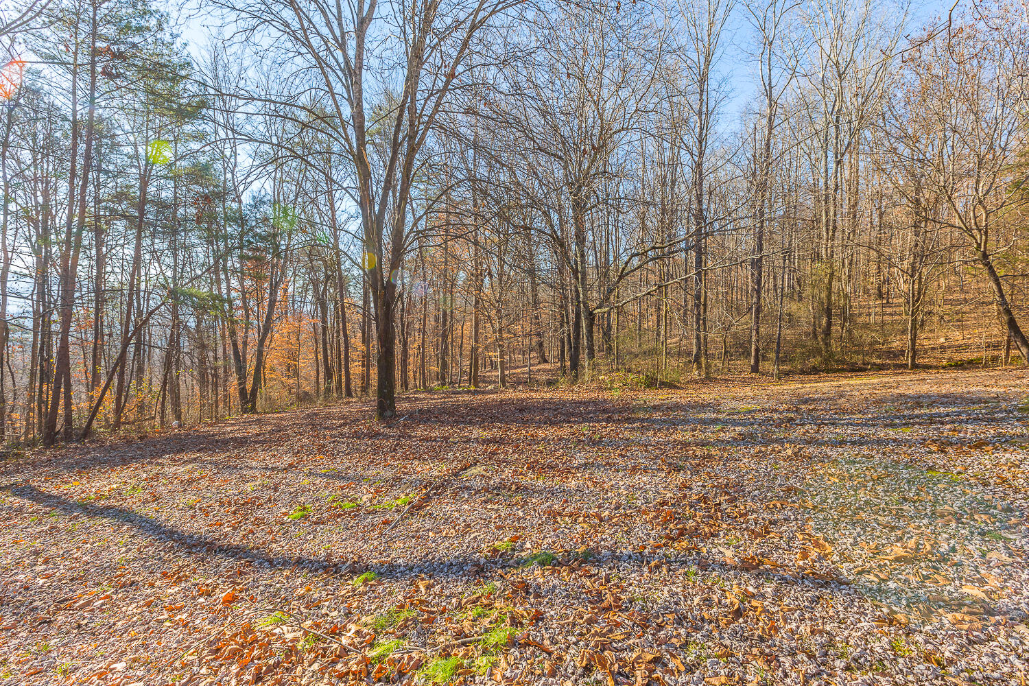 501 Incline Road Whitwell, TN 37397 - Photo 17 of 39 502 Incline Road HD_-13