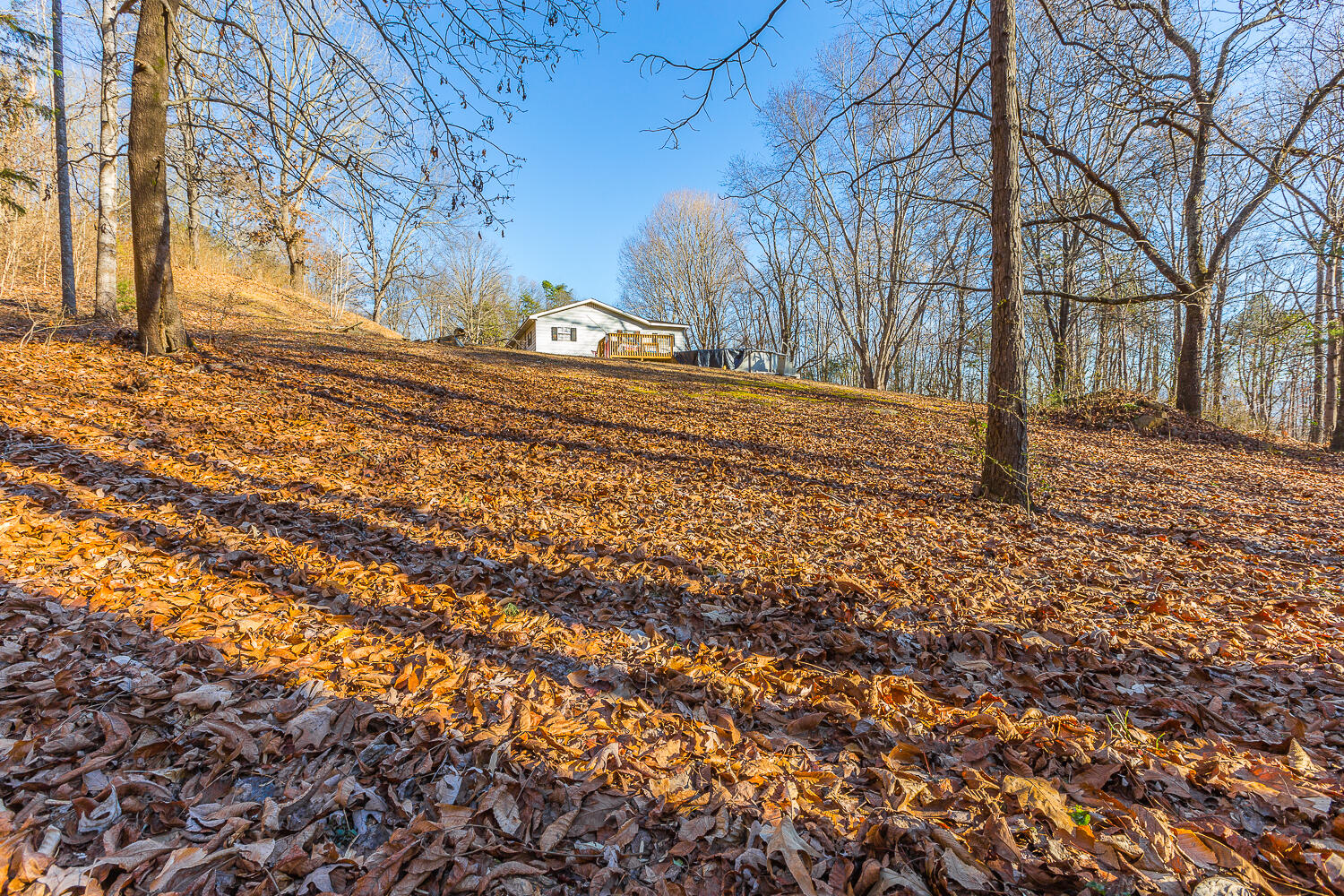 501 Incline Road Whitwell, TN 37397 - Photo 19 of 39 502 Incline Road HD_-16