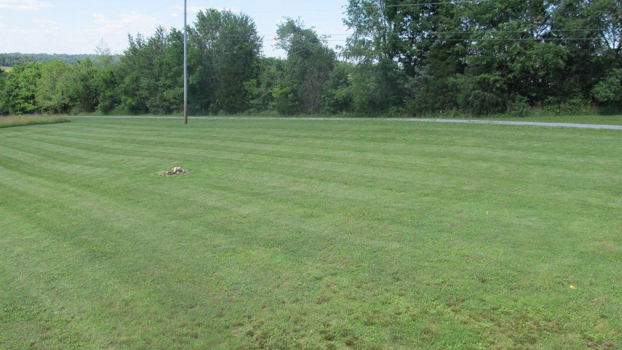 353 7 Mile Ferry Road Cunningham, TN 37052 - Photo 12 of 14 a view of outdoor space and yard