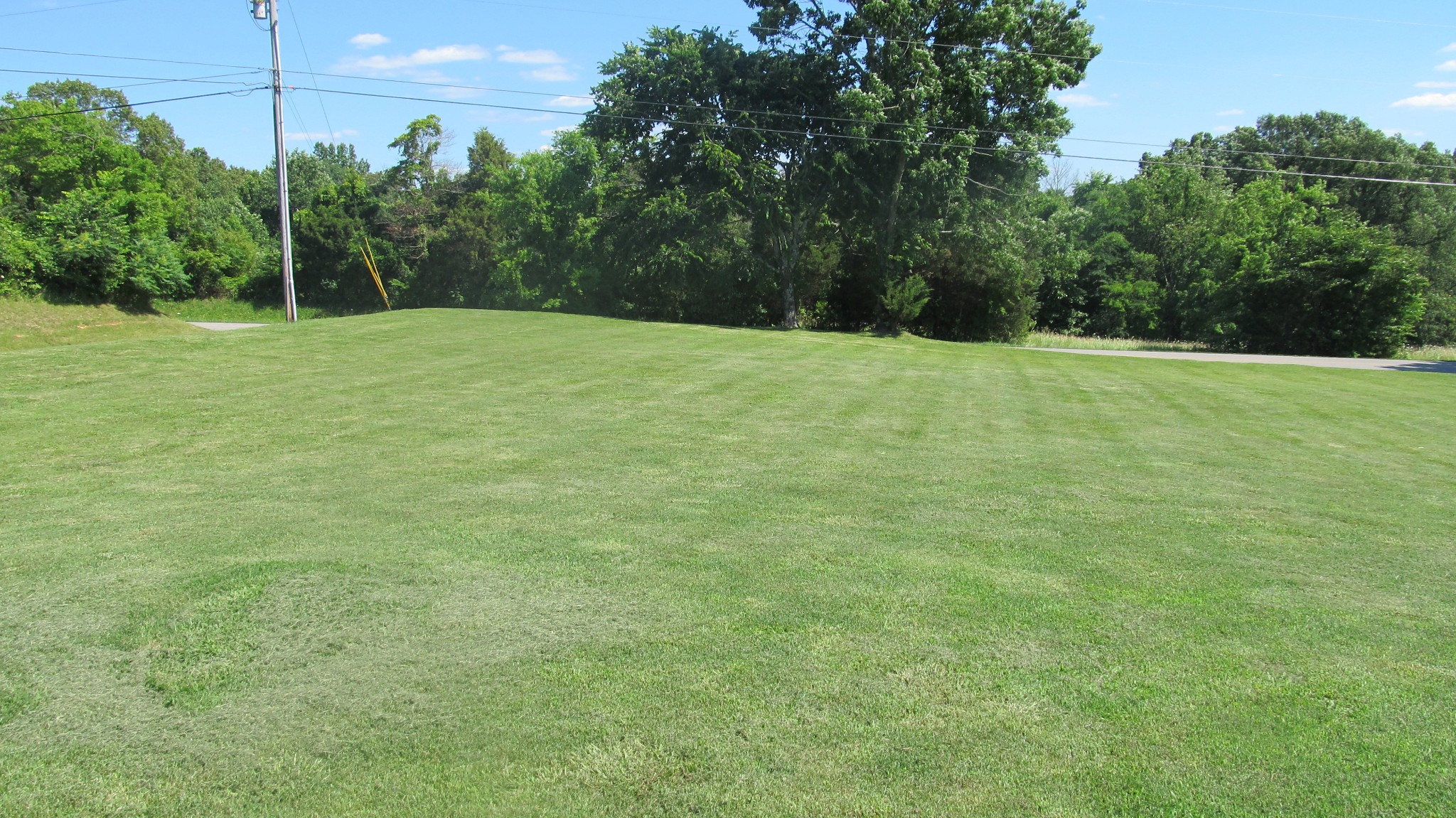 353 7 Mile Ferry Road Cunningham, TN 37052 - Photo 14 of 14 a view of a field with trees in the background