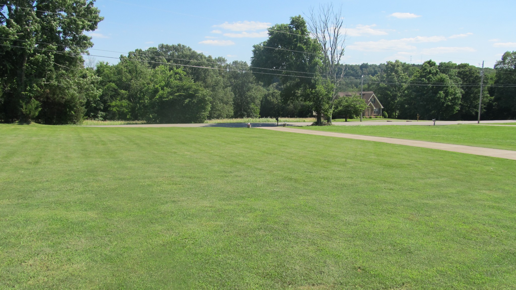 353 7 Mile Ferry Road Cunningham, TN 37052 - Photo 10 of 14 a view of a green field