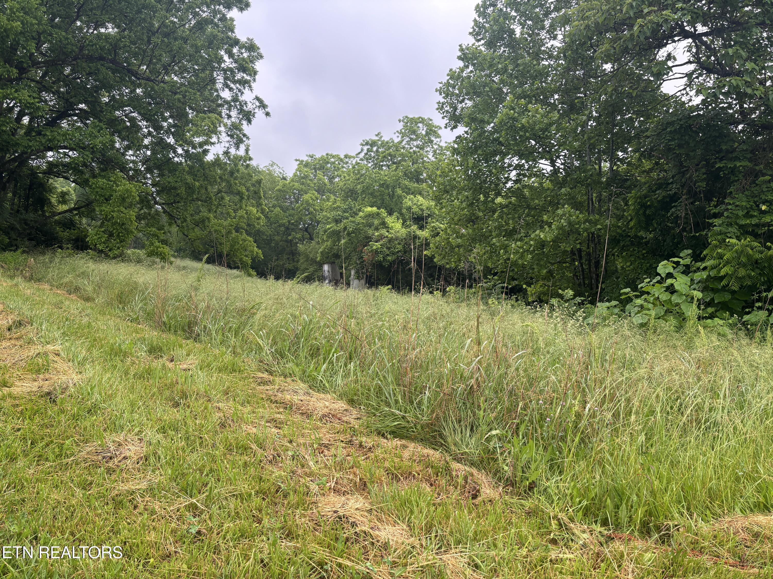 Morrell Springs Road Newport, TN 37821 - Photo 6 of 18 IMG_0087