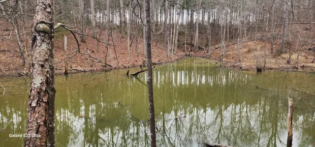 $287,000 | 19 North N Highway, Crandall, GA 30711